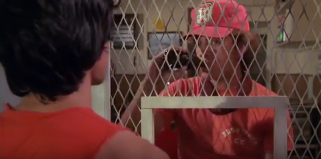 caddyshack-minute-14-somebodys-going-to-get-a-coke